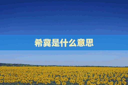 希冀是什么意思